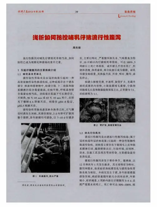 浅析如何防控哺乳仔猪流行性腹泻