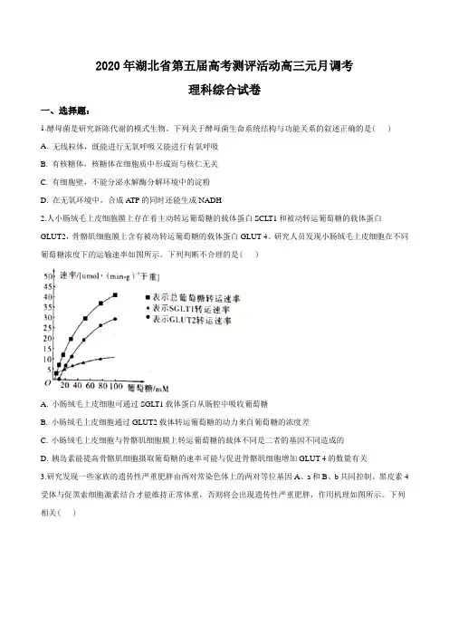 2020届湖北省高三上学期期末理综生物试题(原卷版)