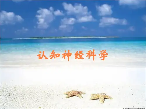 认知神经科学