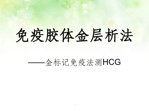 免疫胶体金层析法