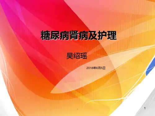 糖尿病肾病及护理PPT课件