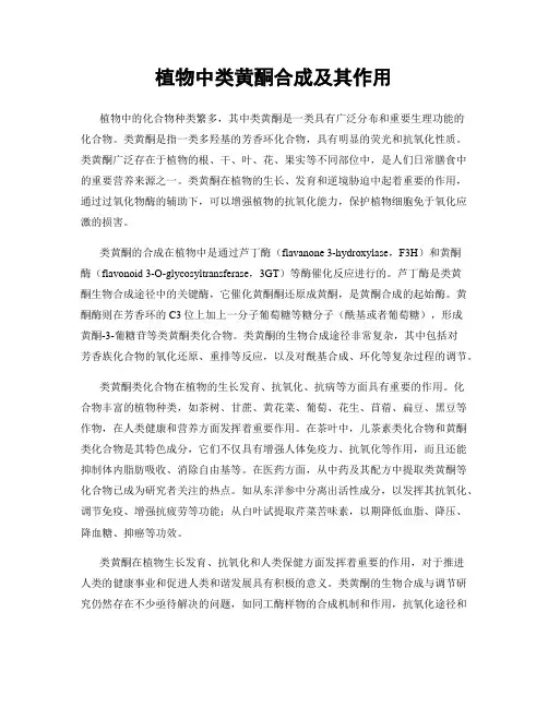 植物中类黄酮合成及其作用