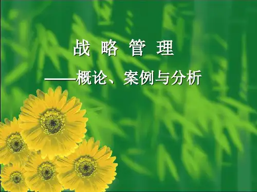 战略管理理论与案例分析(ppt 41页)