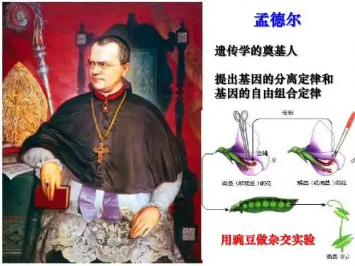 孟德尔遗传定律的扩张2015