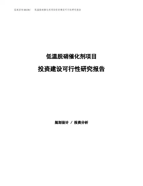 低温脱硝催化剂项目投资建设可行性研究报告参考范本模板