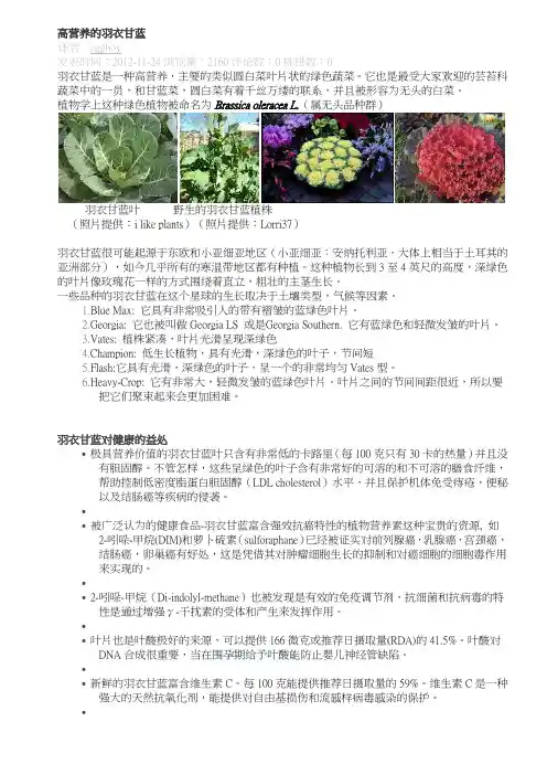 14 高营养的羽衣甘蓝