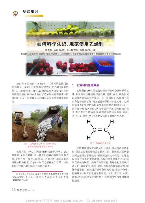 如何科学认识、规范使用乙烯利