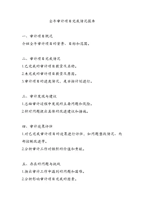 全年审计项目完成情况报告