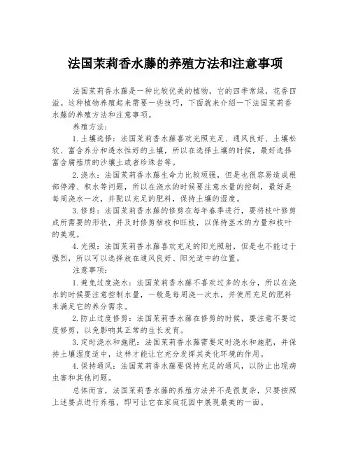 法国茉莉香水藤的养殖方法和注意事项
