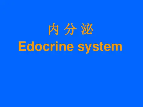 内科-内分泌科-内分泌系统解剖PPT优选课件