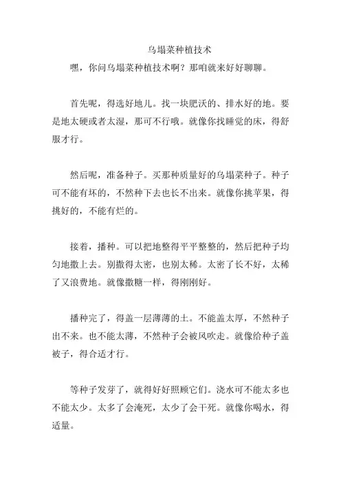 乌塌菜种植技术