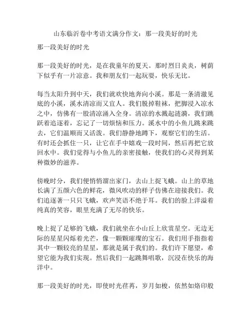 山东临沂卷中考语文满分作文：那一段美好的时光