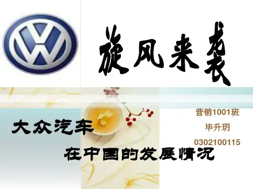 大众在中国市场分析