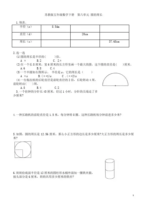 苏教版五年级数学下册   第六单元 圆的周长 提优班练习卷