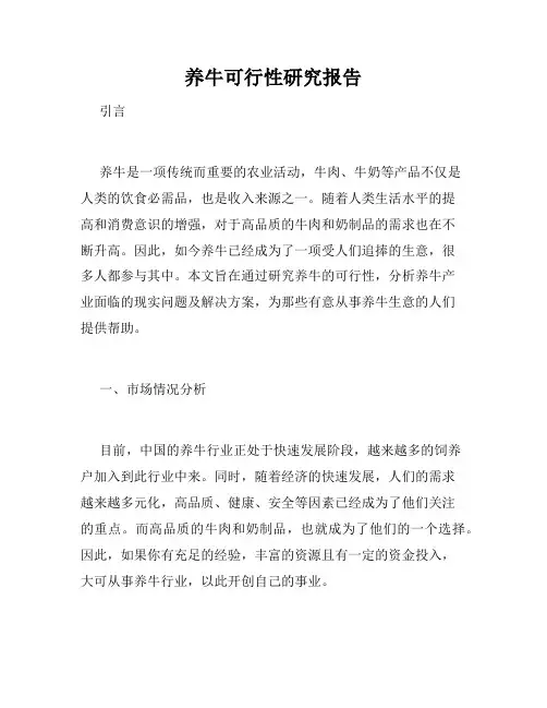 养牛可行性研究报告
