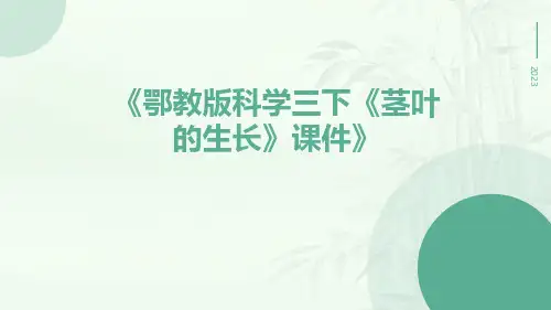 鄂教版科学三下《茎叶的生长》课件