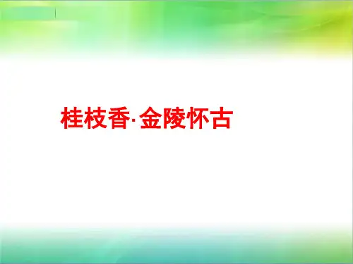 桂枝香金陵怀古