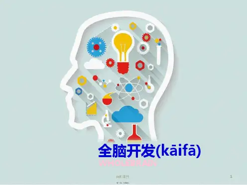 全脑开发完 课件