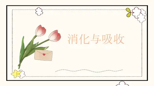 消化与吸收课件小学科学冀人版六年级下册