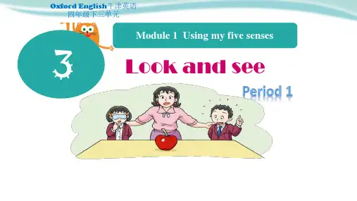 牛津上海版英语四年级下册Module 1 Unit 3 Look and see Period 1