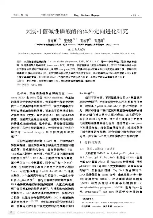 大肠杆菌碱性磷酸酶的体外定向进化研究