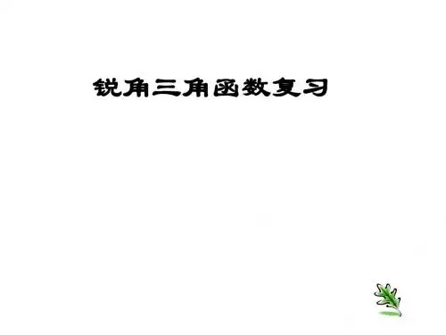 苏教版中考复习：《锐角三角函数复习》课件