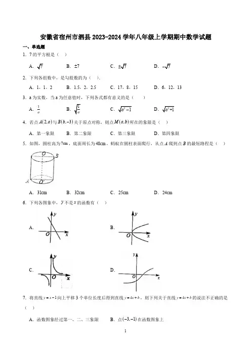 安徽省宿州市泗县2023-2024学年八年级上学期期中数学试题