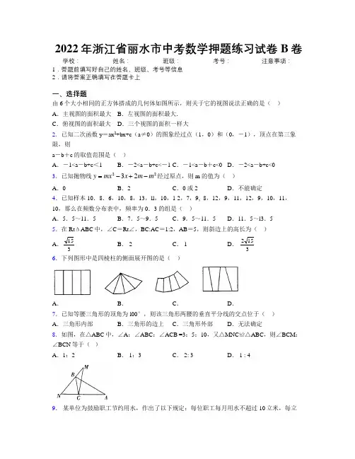2022年浙江省丽水市中考数学押题练习试卷B卷附解析