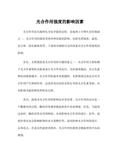 光合作用强度的影响因素