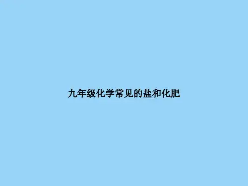 九年级化学常见的盐和化肥