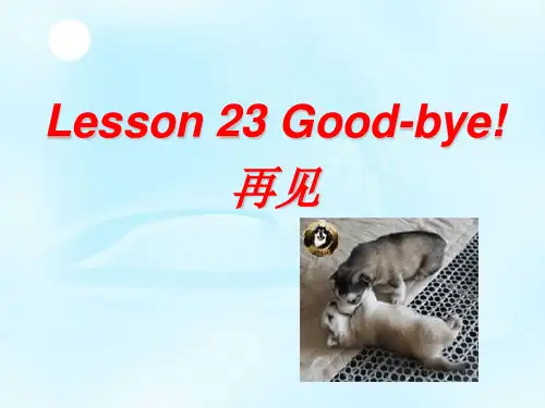 新冀教版英语六年级下册U4lesson23课件(公开课)