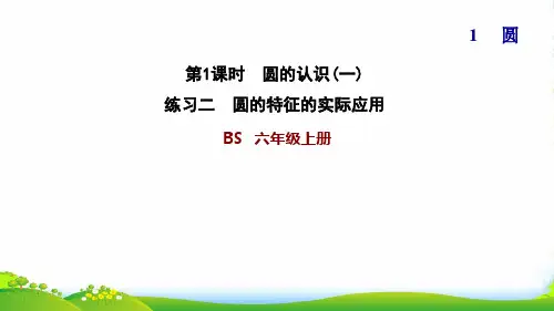 2022六年级数学上册一圆1圆的认识一练习二圆的特征的实际应用习题课件北师大版