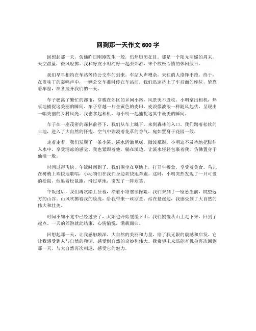 回到那一天作文600字
