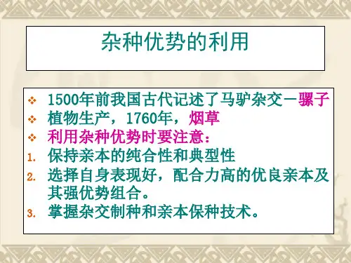杂种优势的利用