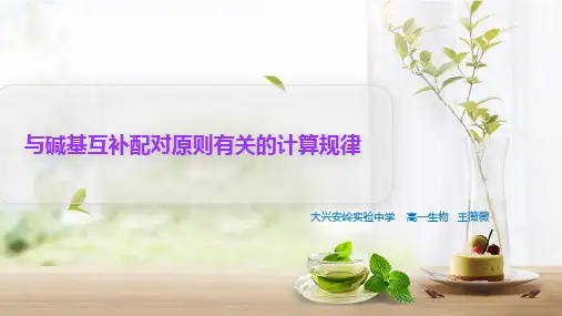 碱基互补配对原则有关的计算规律(共11张PPT)