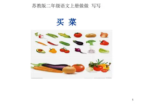 买菜PPT课件