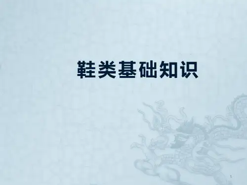 鞋类产品基础知识ppt课件
