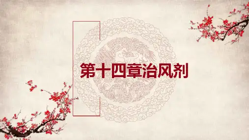 治风剂,方剂学课件