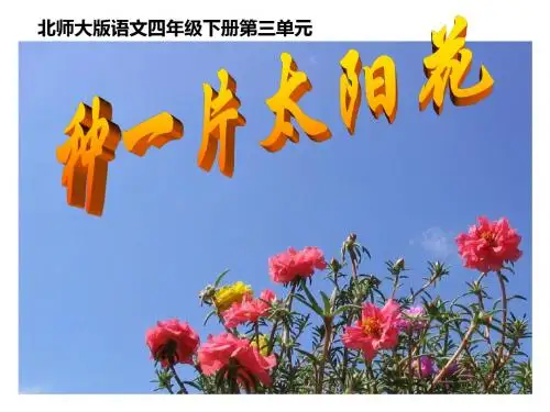 《种一片太阳花_》PPT课件 (1)