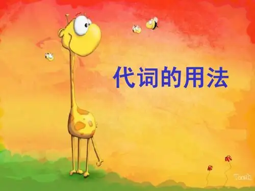 代词的用法(PPT)