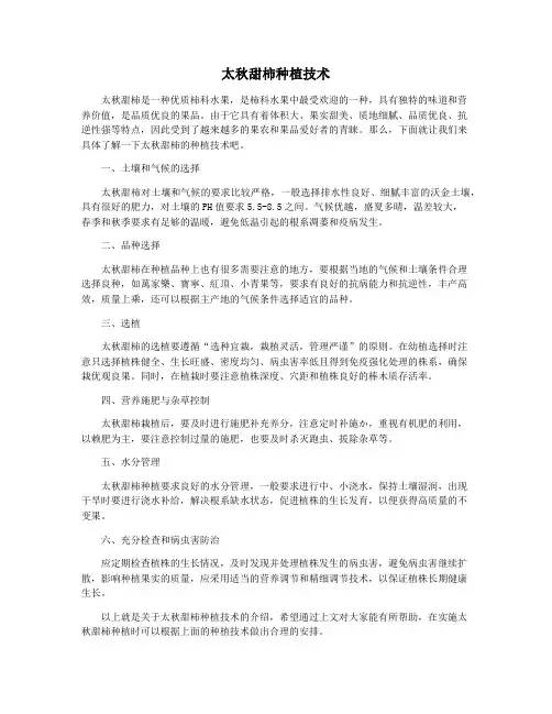 太秋甜柿种植技术