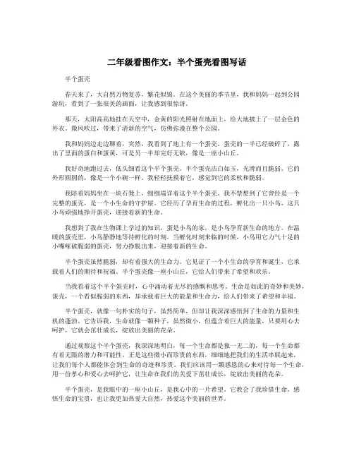 二年级看图作文：半个蛋壳看图写话