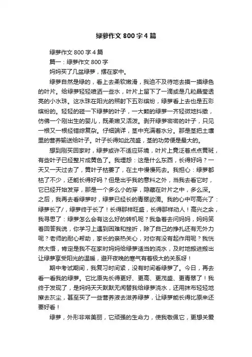 绿萝作文800字4篇