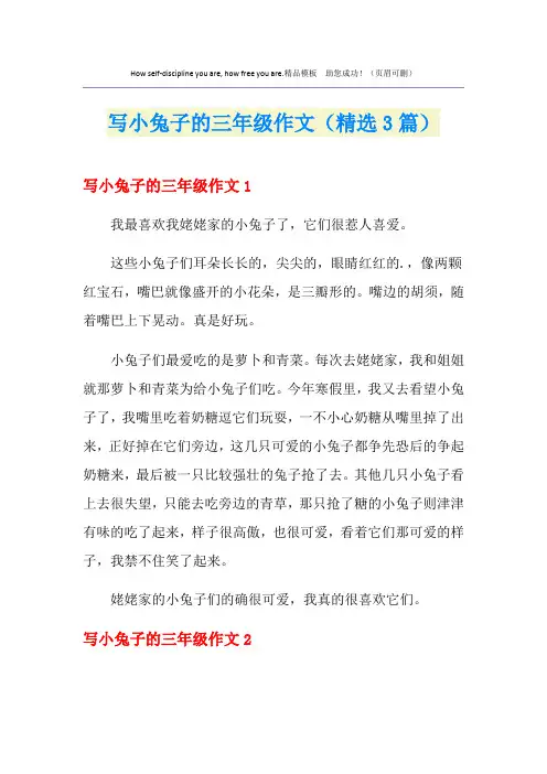 写小兔子的三年级作文(精选3篇)
