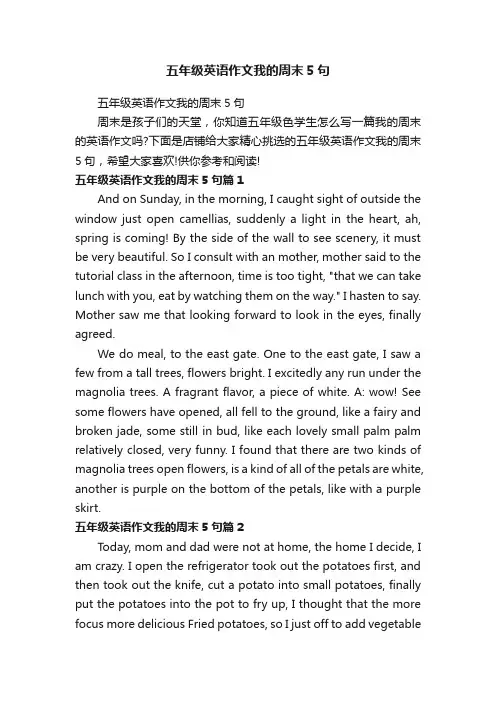 五年级英语作文我的周末5句
