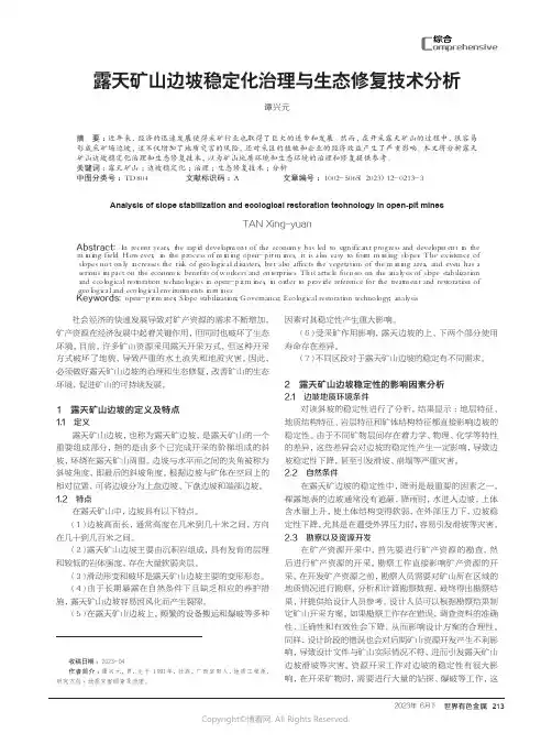 露天矿山边坡稳定化治理与生态修复技术分析