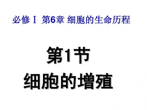 1.6.1细胞的增殖---高三一轮复习课件