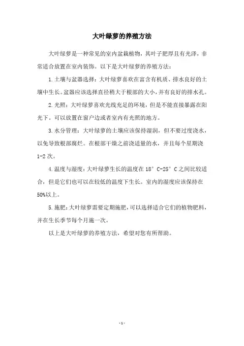 大叶绿萝的养殖方法