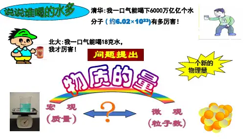 化学人教版(2019)必修第一册2.3.1物质的量的单位——摩尔(共17张ppt)
