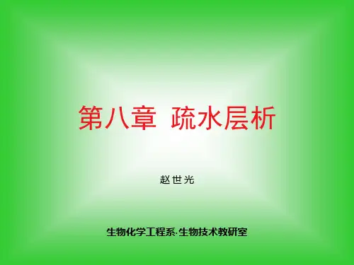 第8章 疏水层析